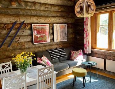 One-bedroom Loft Apartment 