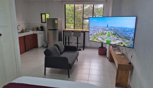 One-Bedroom Apartment 304