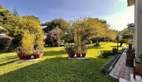 Double Room with Garden View