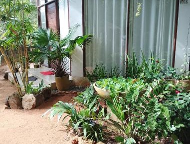 Family Room with Garden View