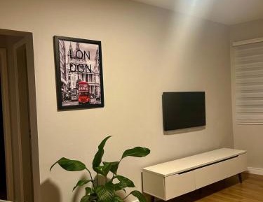 One-Bedroom Apartment with View