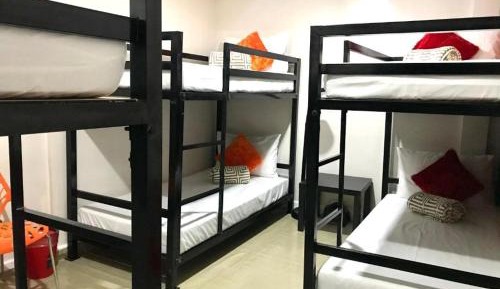 Bunk Bed in Mixed Dormitory Room