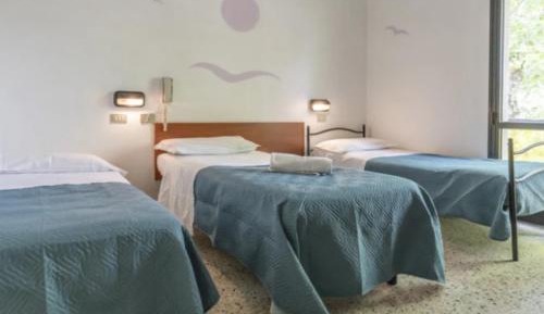 Basic Triple Room
