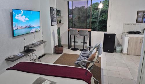 One-Bedroom Apartment 305