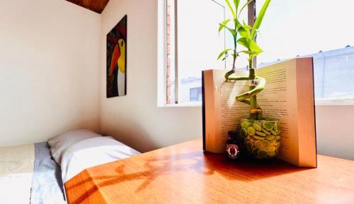 Double Room with Shared Bathroom