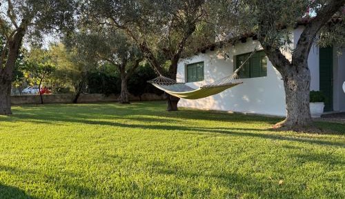 Family Bungalow