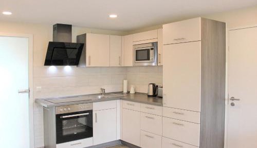 Two-Bedroom Apartment with Terrace