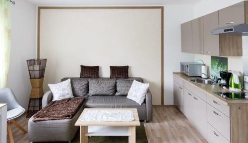 One-Bedroom Apartment with Terrace