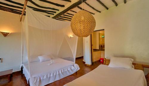 Single Room with Garden View