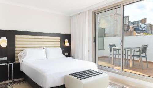 Double or Twin Room with Terrace