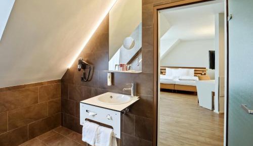 Triple Use King Guest Room with City View