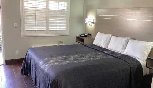 Economy Single Room
