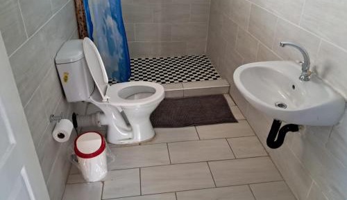 Standard Studio