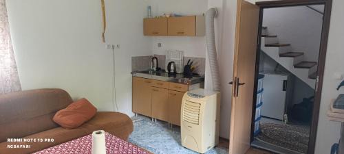Mobile Home