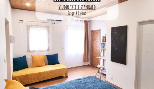 Standard Triple Studio