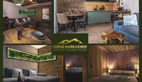 Deluxe One-Bedroom Apartment