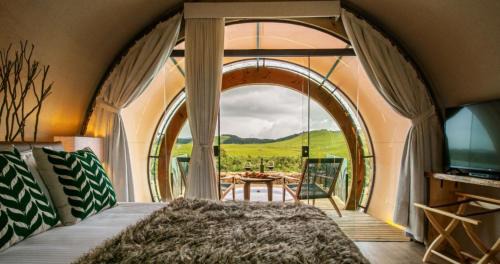 Cocoon