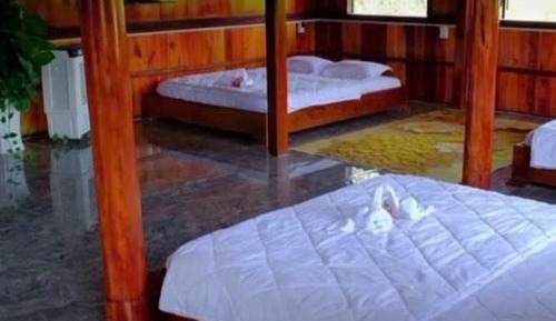 Mixed Dormitory Room