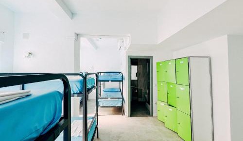 Bed in 8-Bed Dormitory Room