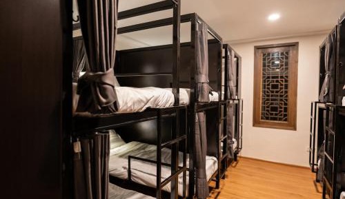 Bunk Bed in Mixed Dormitory Room