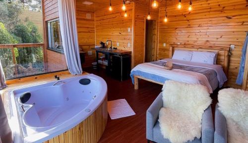 Cabin 2