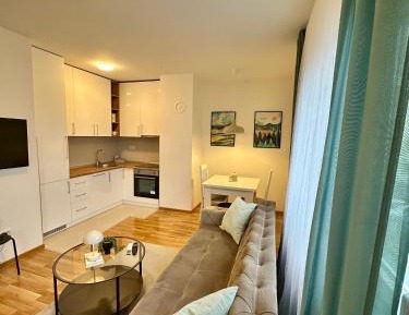 One-Bedroom Apartment with Terrace
