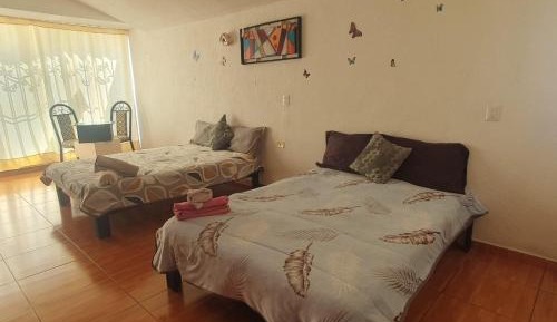 Comfort Quadruple Room