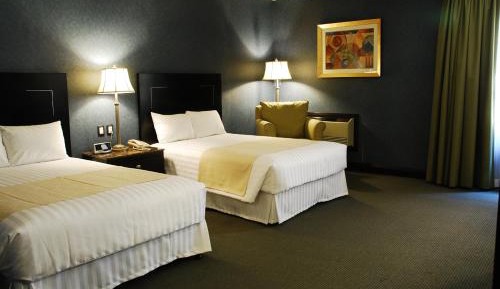 Large Single Room
