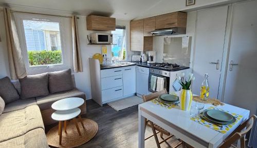 Mobile Home