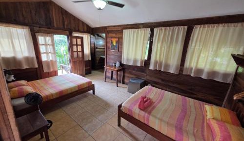Family Room with Garden View