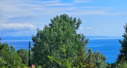 Double Room with Sea View