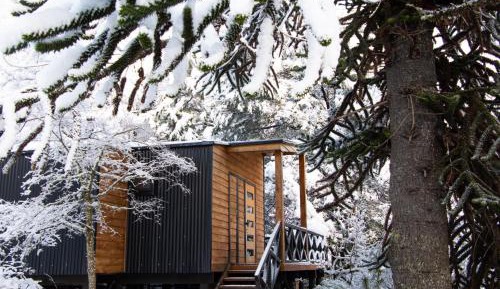 One-Bedroom Chalet