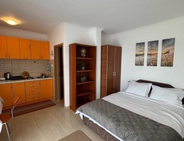 Studio with Balcony and Sea View