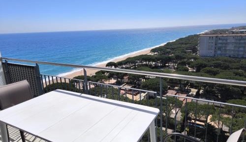 Penthouse Apartment
