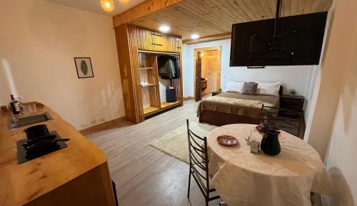 Studio Apartment with Queen Bed