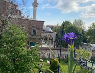 Deluxe Double or Twin Room with Garden View