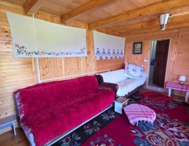 Mixed Dormitory Room
