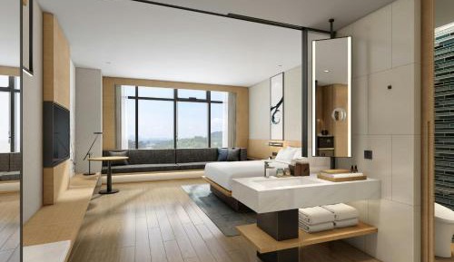 Premium King Room