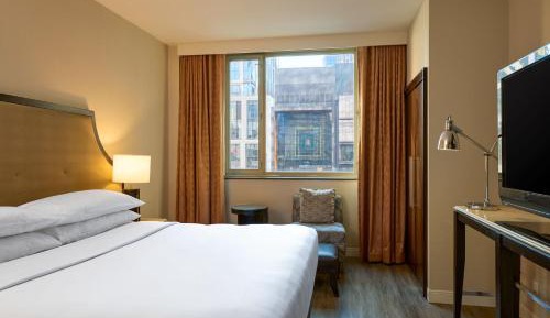 Suite, 1 King, Sofa bed