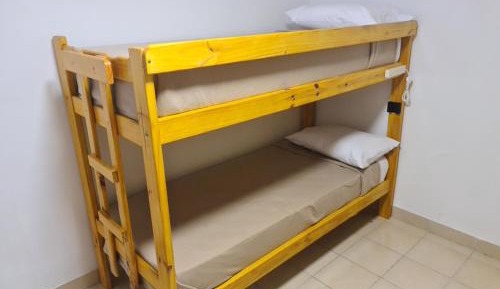Bed in 6-Bed Dormitory Room