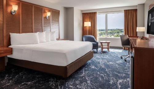 Deluxe King Room