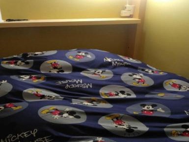 Single Bed in Dormitory Room