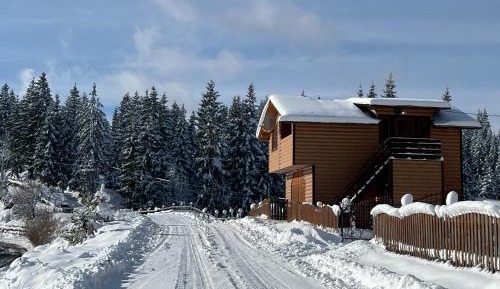 Holiday Home