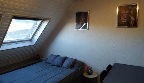 Family Studio