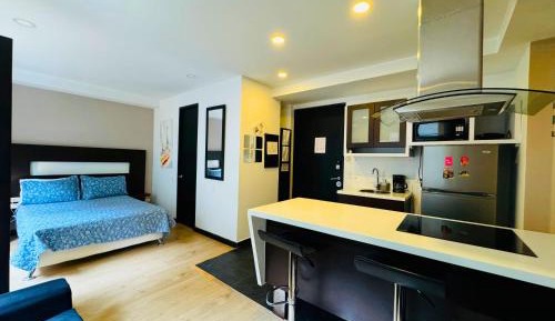 Junior Apartment