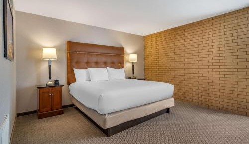 Spacious King Suite – High Floor
