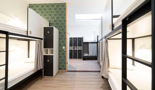 Single Bed in 10-Bed Dormitory Room