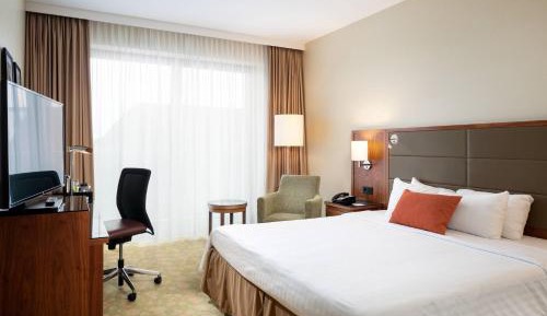 Business Room, Guest room, 1 King, Conference Building