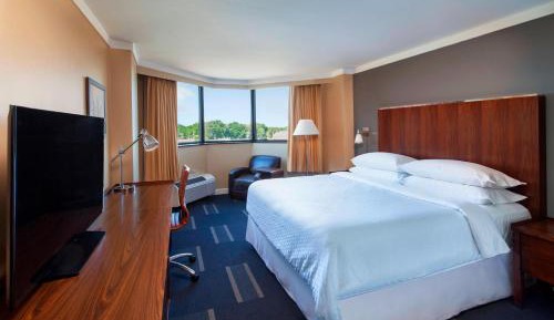 Traditional, Guest room, King