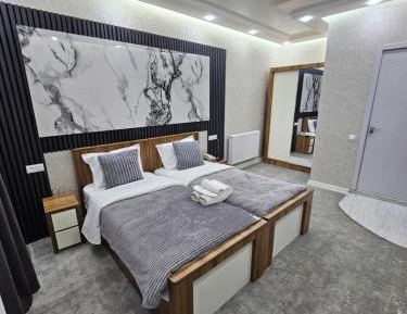 Deluxe Double or Twin Room with City View